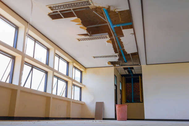 Best 24-hour water damage restoration  in Roanoke, IL
