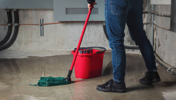 Best Flood damage cleanup  in Roanoke, IL