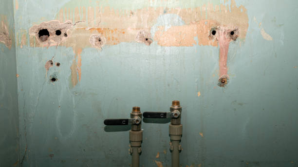 Best 24-hour water damage restoration  in Roanoke, IL
