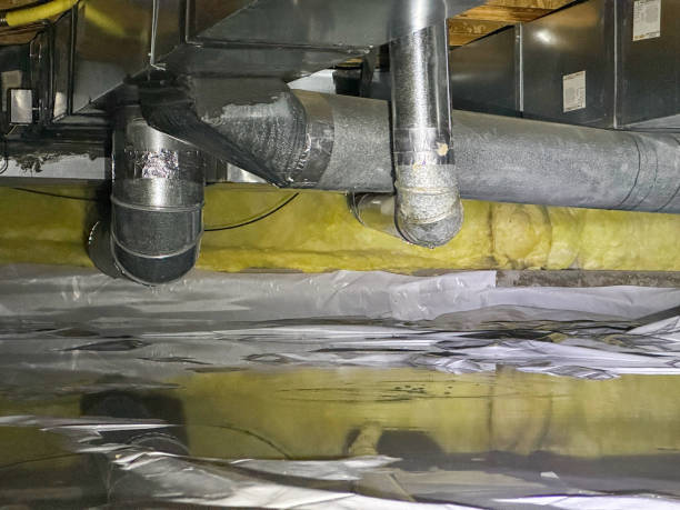 Best Ceiling water damage repair  in Roanoke, IL