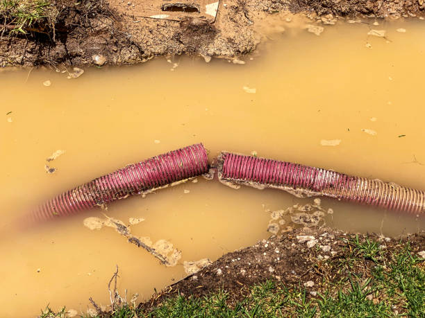  Roanoke, IL Water damage restoration Pros